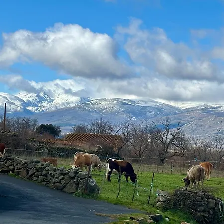 Cuartos De Gredos Landhuis