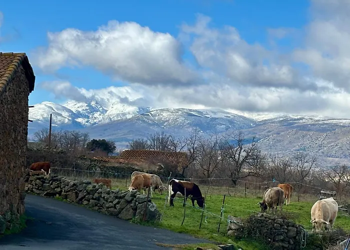 Cuartos De Gredos Lantställe