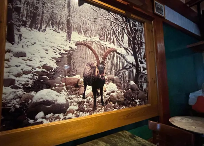 Cuartos De Gredos * Los Cuartos